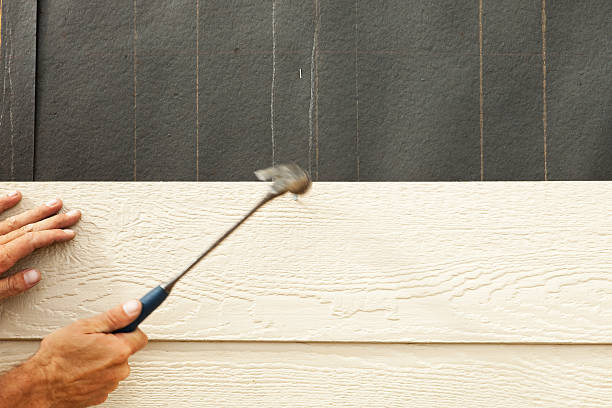 Best Custom Siding Design  in Chelsea, MI